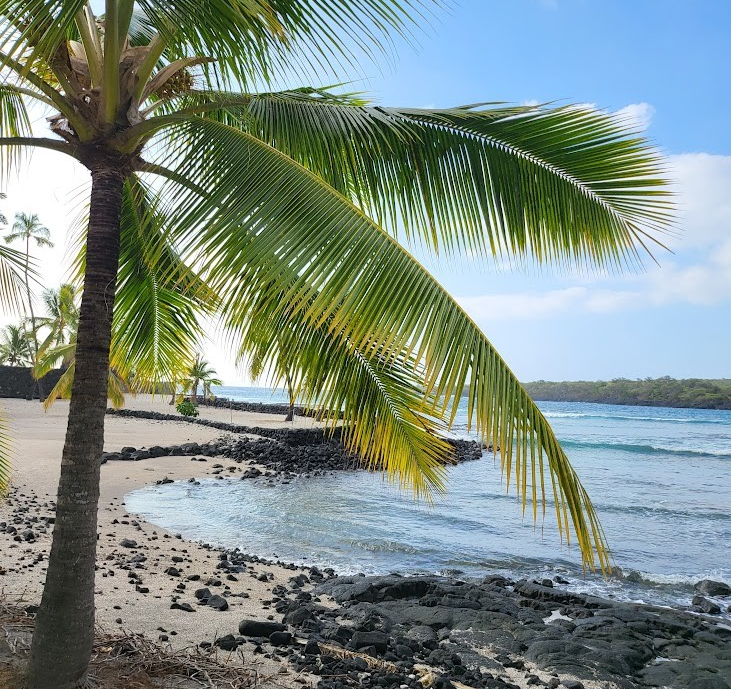 Tropical beach